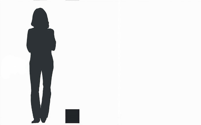 Silhouette einer Person neben einem kleinen quadratischen Gemälde zur Veranschaulichung eines Miniformats.