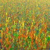 Abstrakte bunte Kunst im Hochformat, Claim 158, Acryl und Lack auf Leinwand, 110x90 cm, Atelier Hellbusch