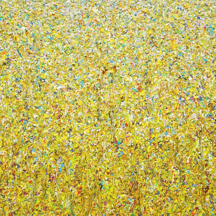 Claim 108, Gemälde, modern und abstrakt (120 x 100 cm, Nahaufnahme). Bunte Farben - insbesondere ocker, ergeben ein organisches Feld. Der Verlauf der Farben ist oben punktartig und hell. Im unteren Bereich des Bildes werden die Farben immer strichartiger und kräftiger. Kunst. ARTLET - Atelier Hellbusch