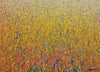 Claim 81 | Abstrakte Landschaft auf Leinwand 100 x 140 cm. Bunte Farben - insbesondere Rot, Gelb, Orange, Weiß, Blau sowie deren Vermischungen ergeben ein organisches Feld. Der Verlauf der Farben ist oben eher punktartig. Nach unten hin wird der Verlauf der Farben auf dem Gemälde immer länger, also strichartig. So entsteht moderne Kunst, die an Natur erinnert. Abstrakte Landschaft. ARTLET | Atelier Hellbusch.