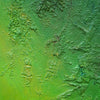 "Melanie", 50x70 cm, 2026 (Ausschnitt): Kunst in Grün auf Leinwand von Mark Hellbusch mit organischen Strukturen und tiefer Farbschichtung