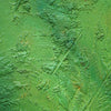 "Melanie", 50x70 cm, 2026 (Ausschnitt): Kunst in Grün auf Leinwand von Mark Hellbusch mit organischen Strukturen und tiefer Farbschichtung