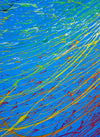 "Splash 65" (Ausschnitt), ein rundes Gemälde mit einem Durchmesser von 120 cm, zeigt eine lebendige Mischung aus blauen, roten, gelben, grünen und weißen Farbspritzern, die Dynamik und Eleganz vereinen. Kunstwerk des Atelier Hellbusch.