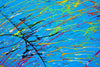 "Splash 65" (Ausschnitt), ein rundes Gemälde mit einem Durchmesser von 120 cm, zeigt eine lebendige Mischung aus blauen, roten, gelben, grünen und weißen Farbspritzern, die Dynamik und Eleganz vereinen. Kunstwerk des Atelier Hellbusch.