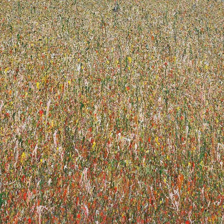 Abstraktes Acrylgemälde „Claim 36“ (110 × 120 cm, 2019) in erdigen Tönen wie Braun, Grün, Rosa und Terrakotta – florale Struktur, ruhig und natürlich – Atelier Hellbusch.