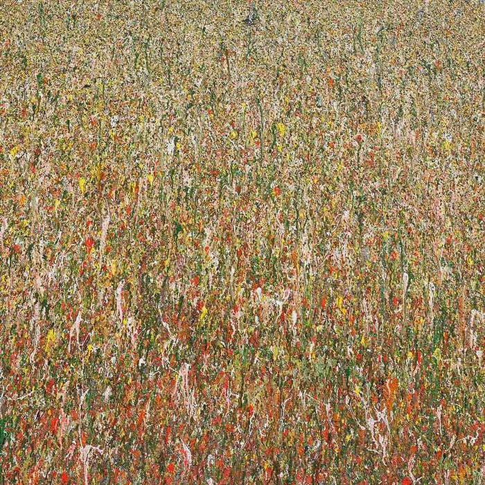 Abstraktes Acrylgemälde „Claim 36“ (110 × 120 cm, 2019) in erdigen Tönen wie Braun, Grün, Rosa und Terrakotta – florale Struktur, ruhig und natürlich – Atelier Hellbusch.